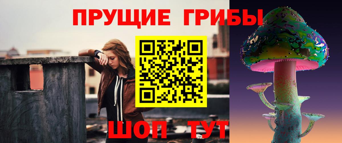 Псилоцибиновые грибы прущие грибы Буйнакск